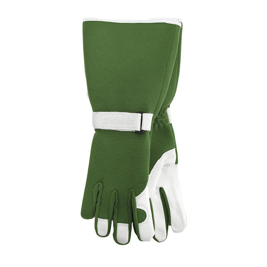 ANNABEL TRENDS - SPROUT GOATSKIN GLOVES - LONG SLEEVE OLIVE