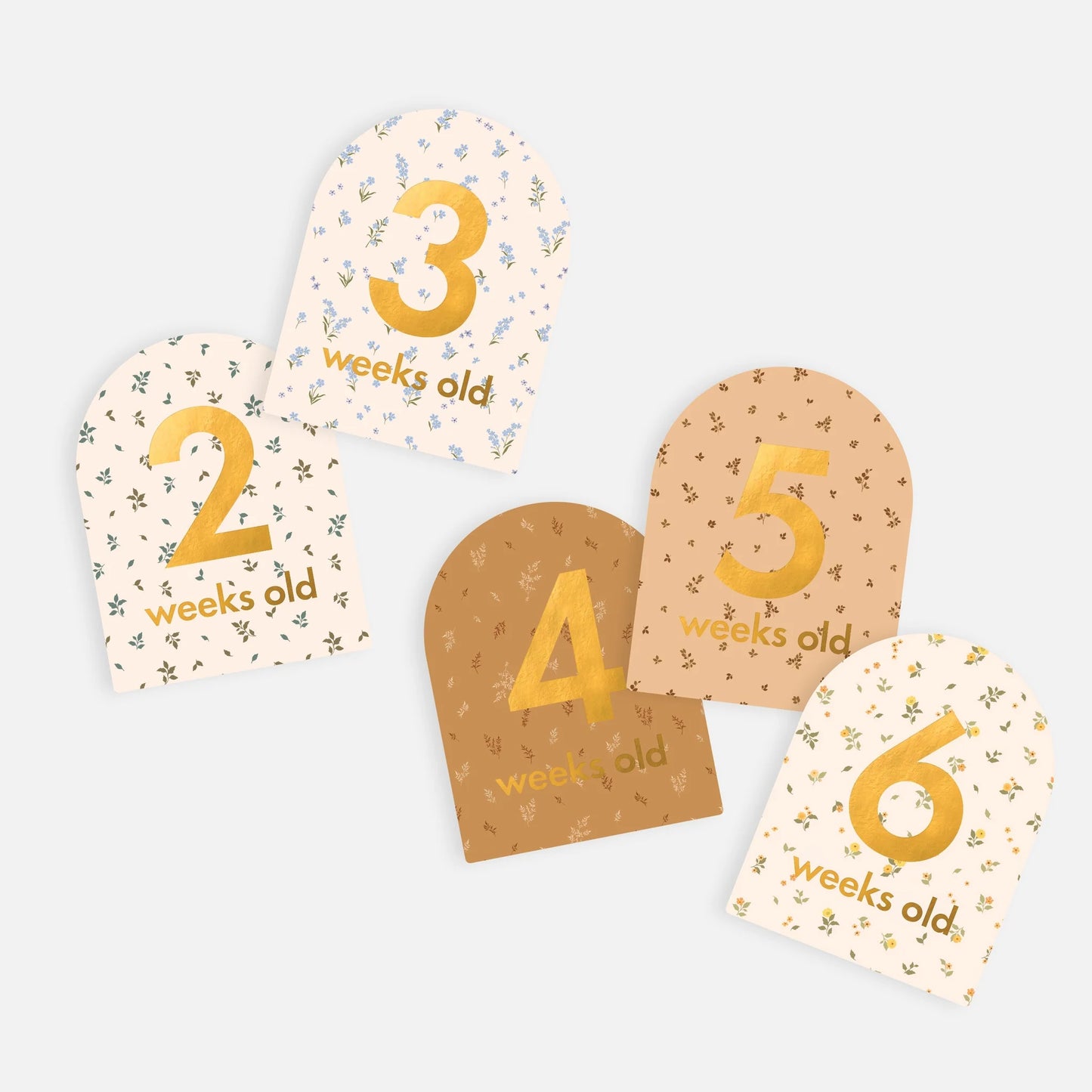 FOX & FALLOW MILESTONE CARDS - BRODERIE