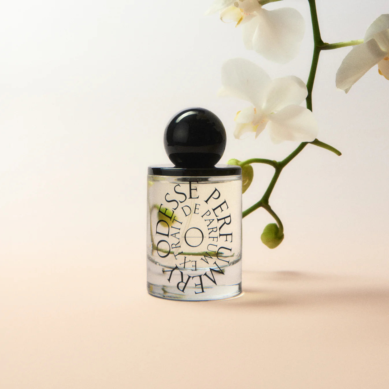 ODESSE EXTRAIT DE PARFUM - DEEP ORCHID