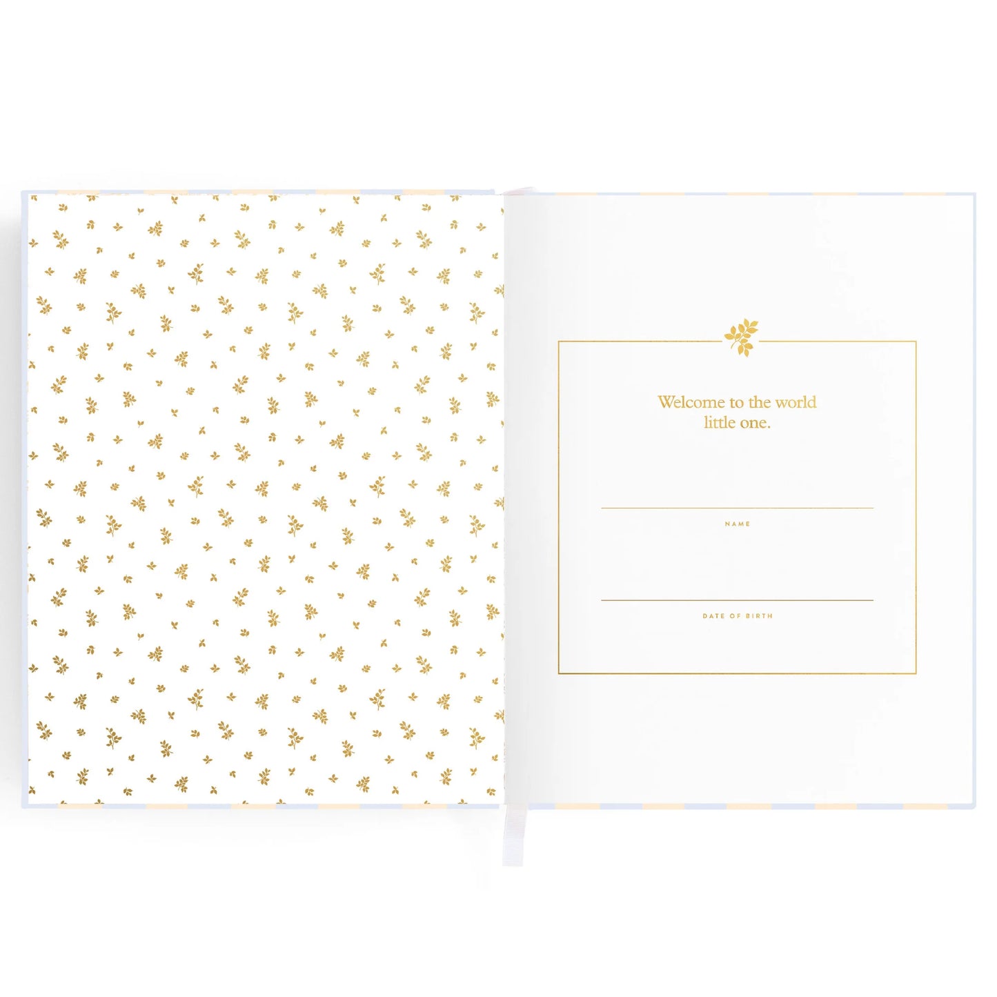 FOX & FALLOW BABY BOOK - BLUE CHECK