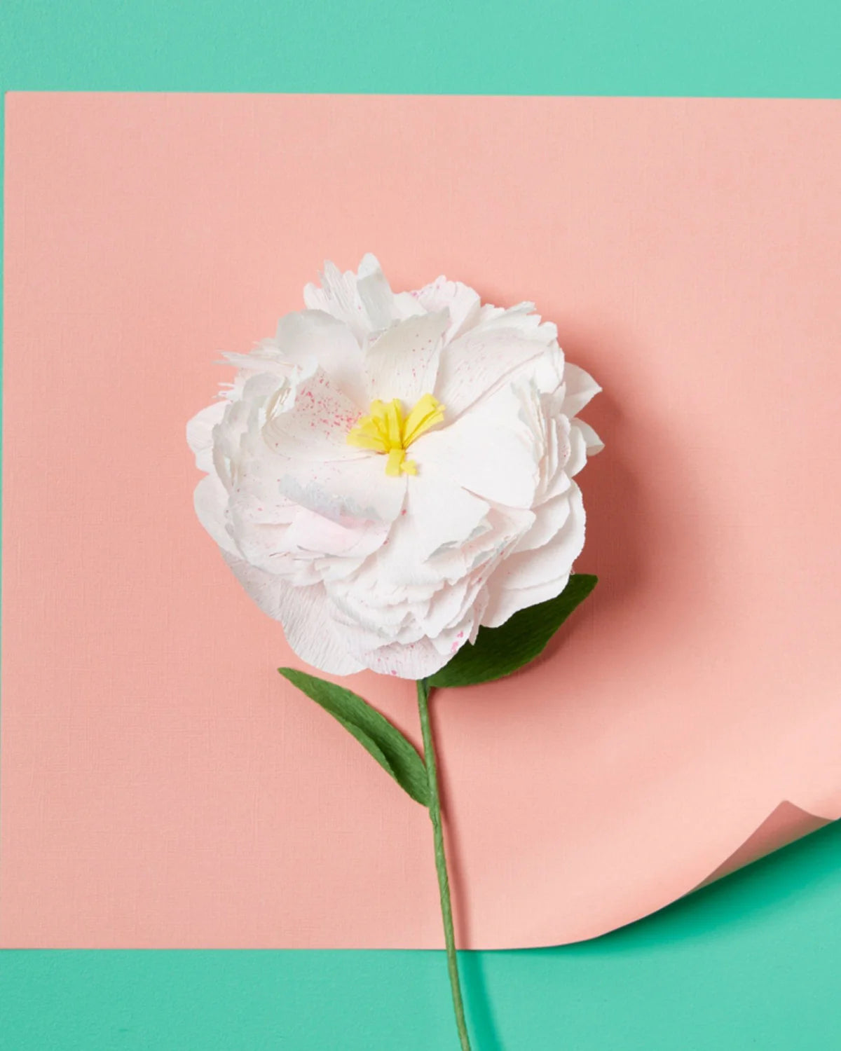 JOURNEY OF SOMETHING - PAPER FLOWERS