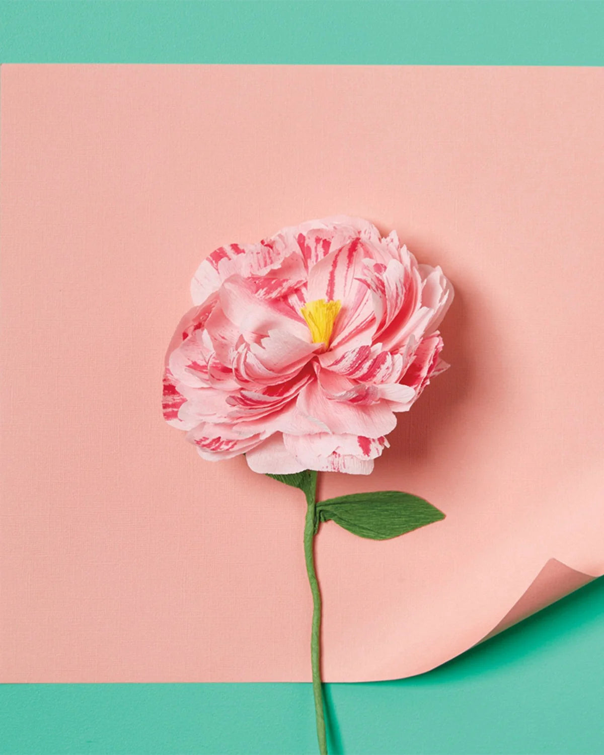 JOURNEY OF SOMETHING - PAPER FLOWERS