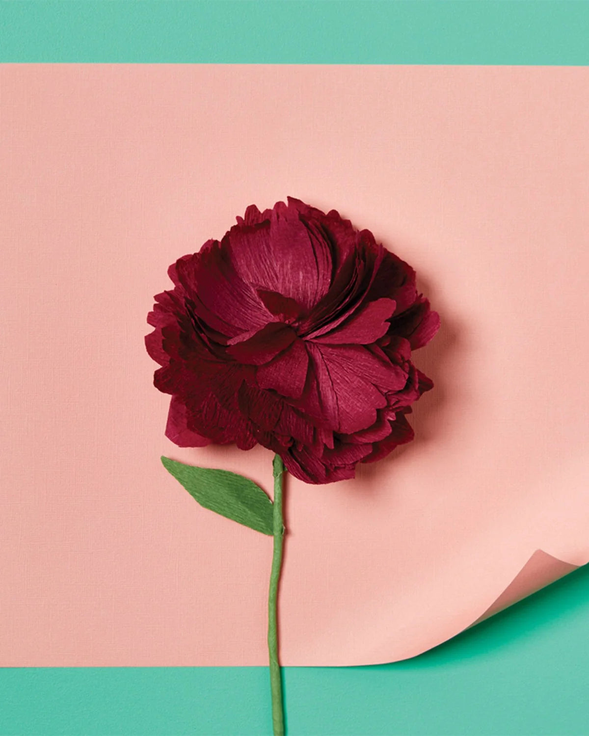JOURNEY OF SOMETHING - PAPER FLOWERS