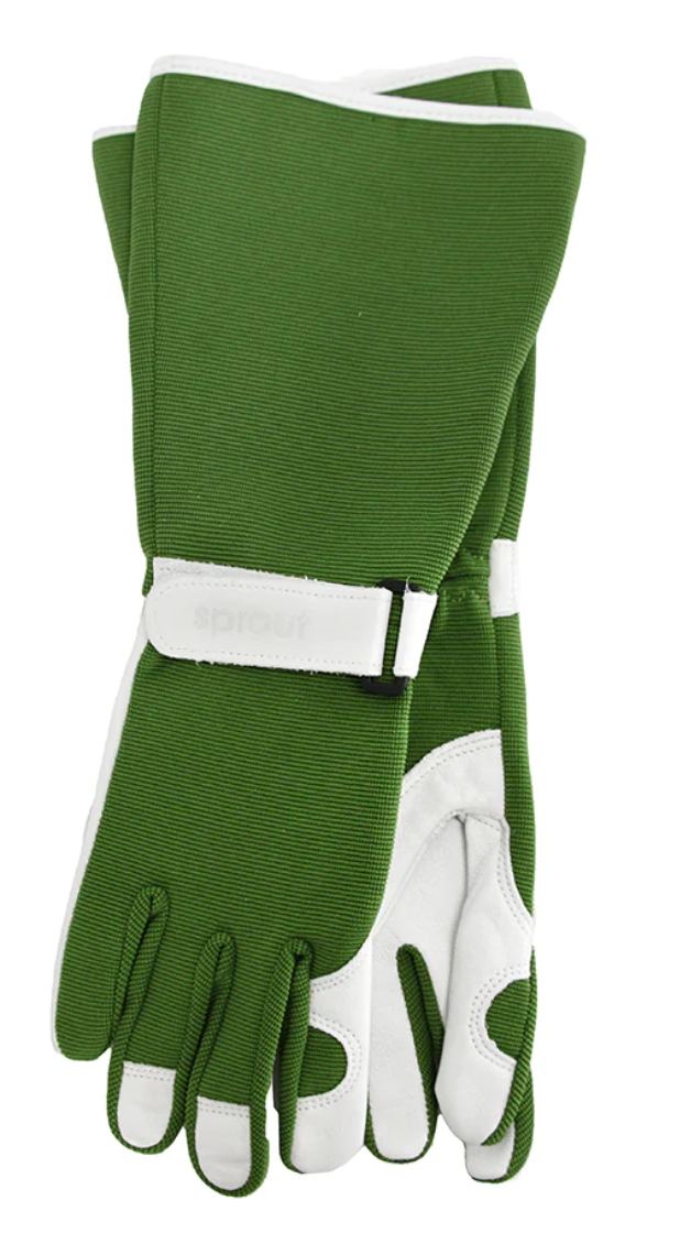 ANNABEL TRENDS - SPROUT GOATSKIN GLOVES - LONG SLEEVE OLIVE