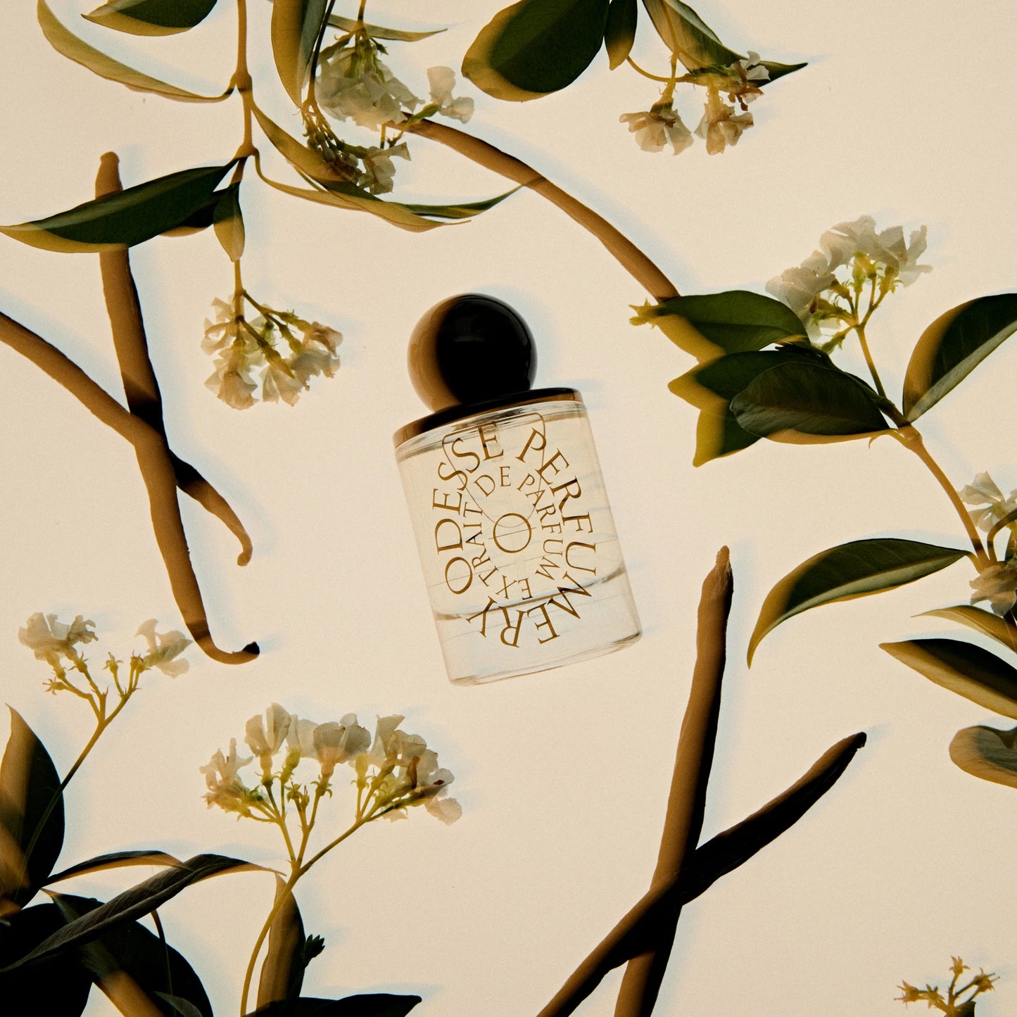 ODESSE EXTRAIT DE PARFUM - VANILLA VANILLA