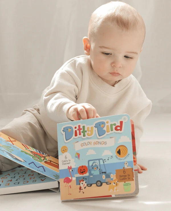 DITTY BIRD - RECHARGEABLE BOOK - COLOUR SONGS