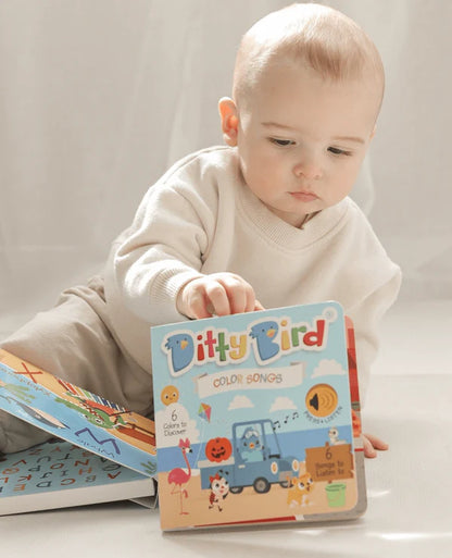 DITTY BIRD - RECHARGEABLE BOOK - COLOUR SONGS