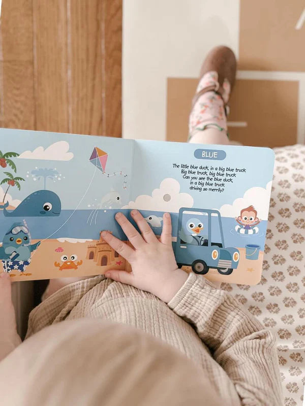 DITTY BIRD - RECHARGEABLE BOOK - COLOUR SONGS