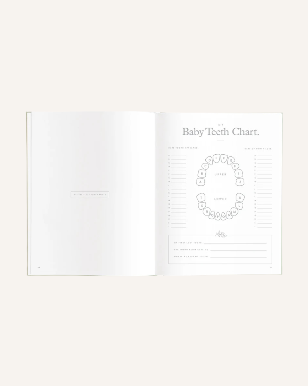 FOX & FALLOW - BABY BOOK - SAGE STRIPE