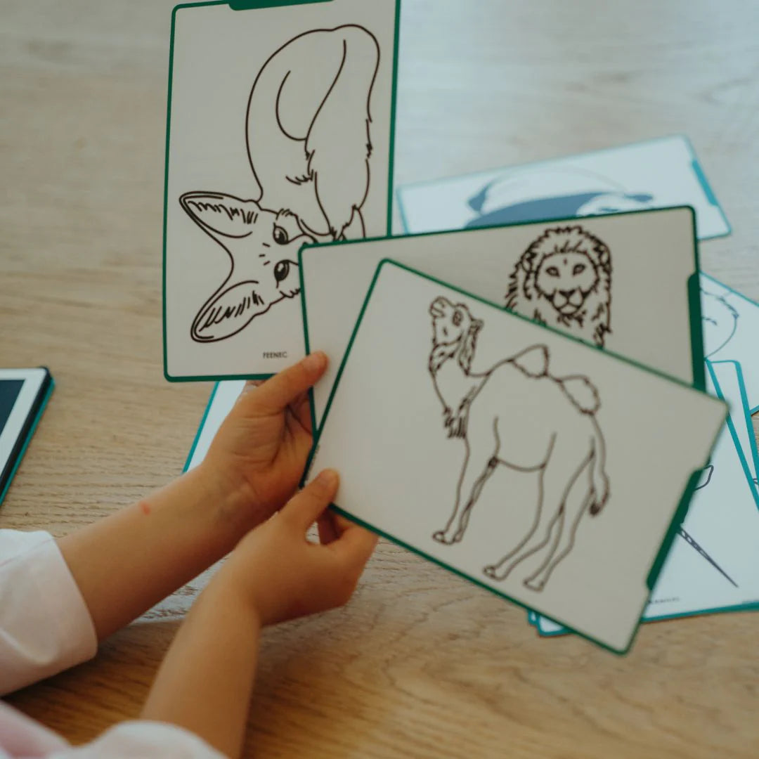KIDYWOLF LCD TRACING BOOK - ANIMALS AROUND THE WORLD