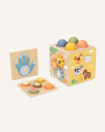TOOKYTOY - ACTIVITY CUBE