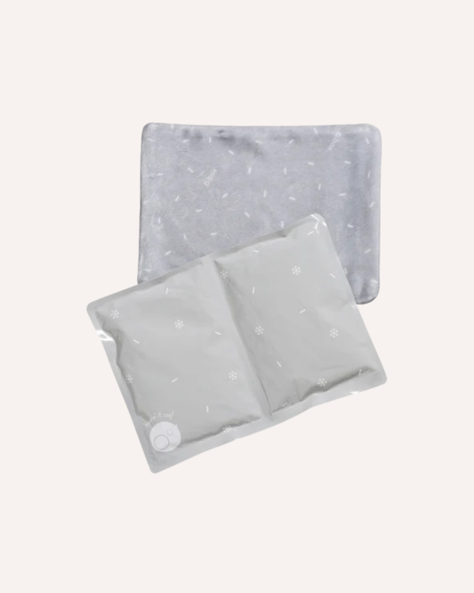 BBOX - JUMBO GEL COOLERS 2 PACK