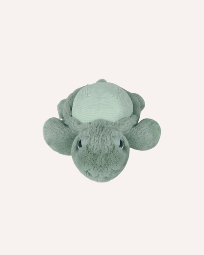 OB DESIGNS - LITTLE TYLER TURTLE