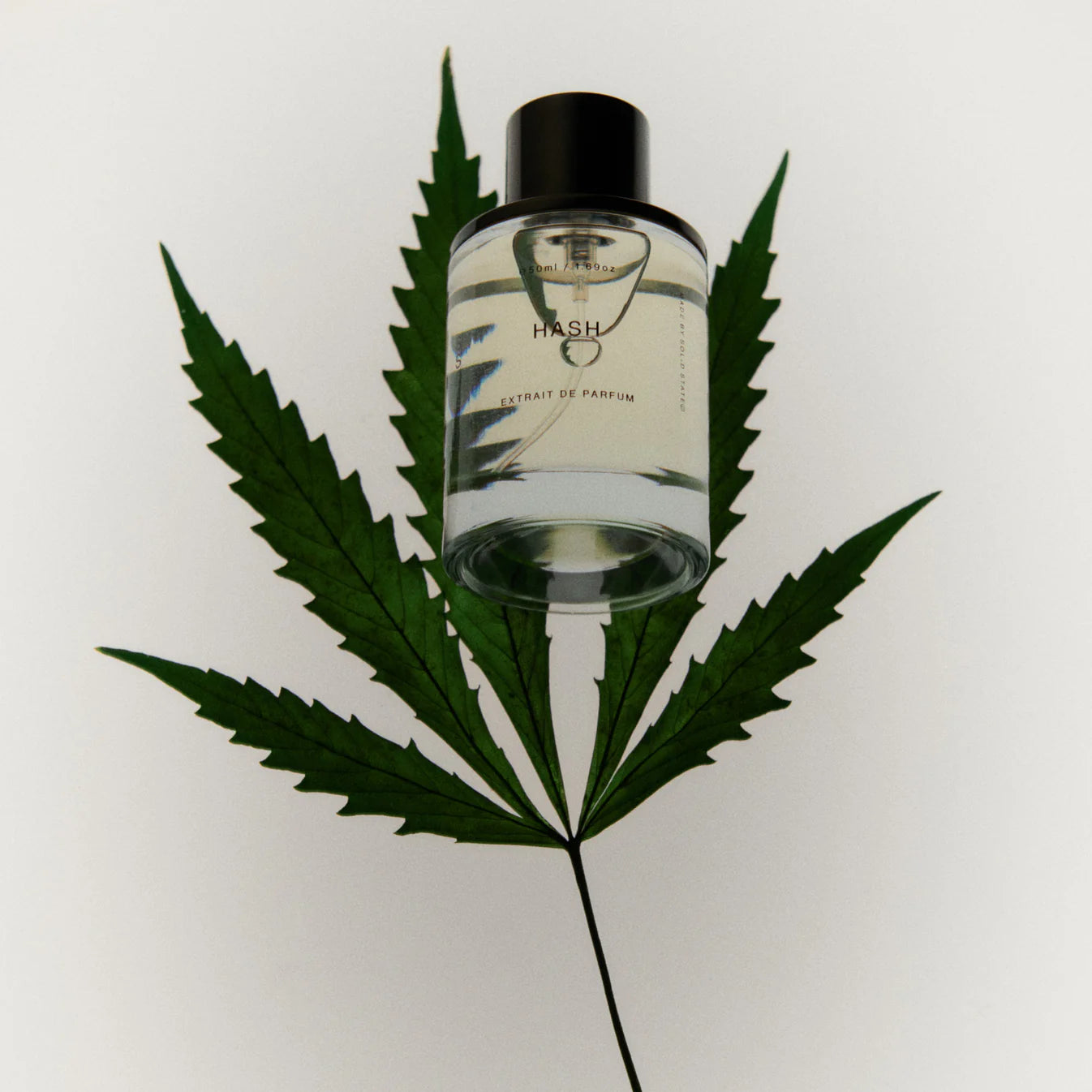 SOLID STATE - EXTRAIT DE PARFUM 50ML - HASH
