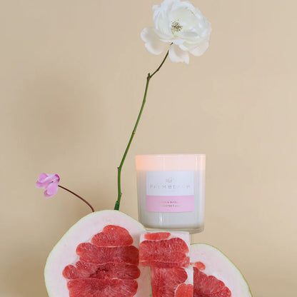 PALM BEACH STANDARD CANDLE - POMELO & DEWBERRY