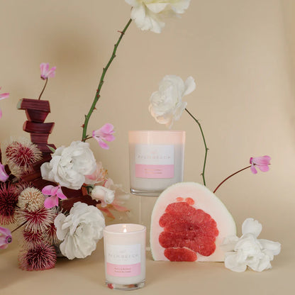 PALM BEACH STANDARD CANDLE - POMELO & DEWBERRY