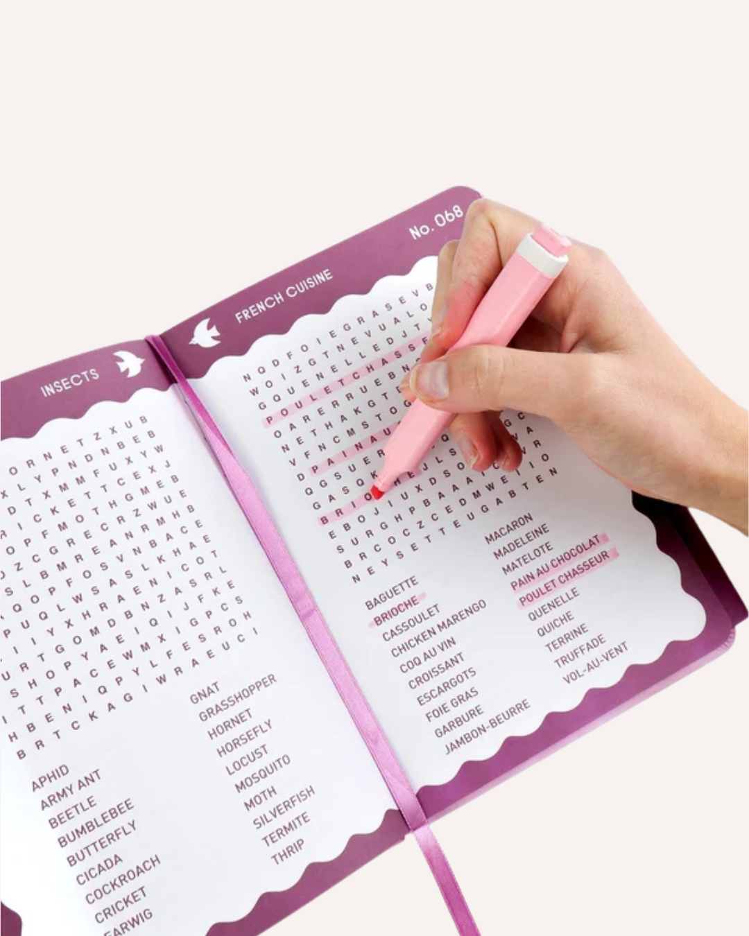 JOURNEY OF SOMETHING - WORD SEARCH BOOK