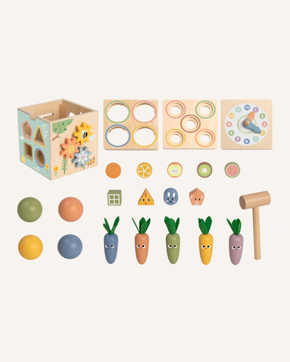TOOKYTOY - ACTIVITY CUBE
