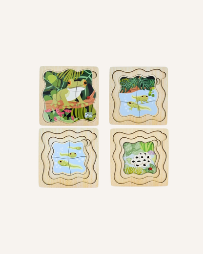 KOALA DREAM - LIFE CYCLE LAYERED PUZZLE - GREEN TREE FROG