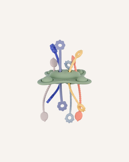 KOALA DREAM - POP & PULL TEETHER