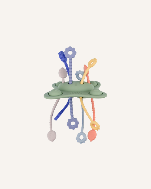 KOALA DREAM - POP & PULL TEETHER