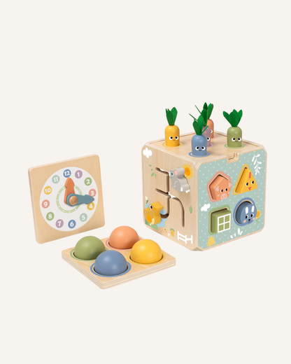 TOOKYTOY - ACTIVITY CUBE