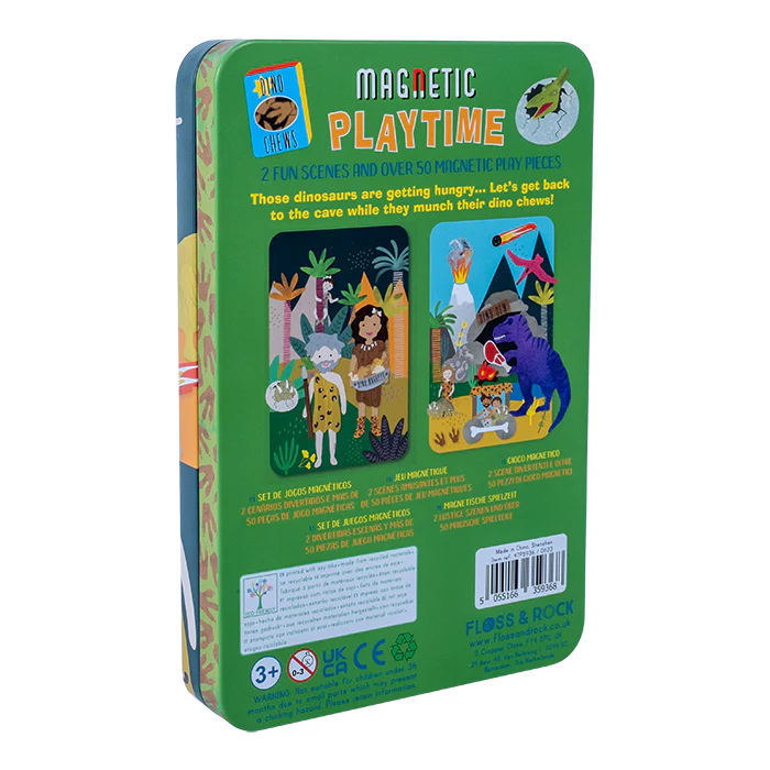 FLOSS & ROCK MAGNETIC PLAYTIME  - DINOSAUR