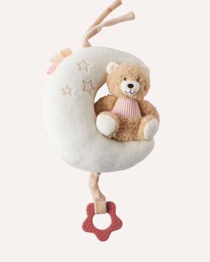 JIGGLE & GIGGLE - MUSICAL TEDDY BEAR ON MOON – PINK
