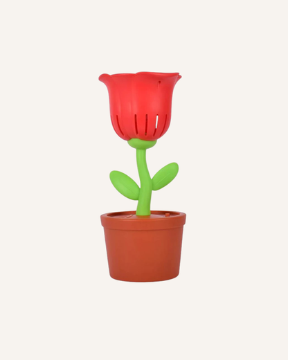 MAXX BUBBLES - BUBBLE BLOOMS - ROSE