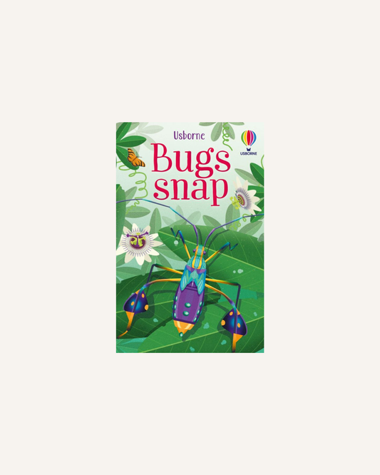 USBORNE SNAP CARDS - BUGS