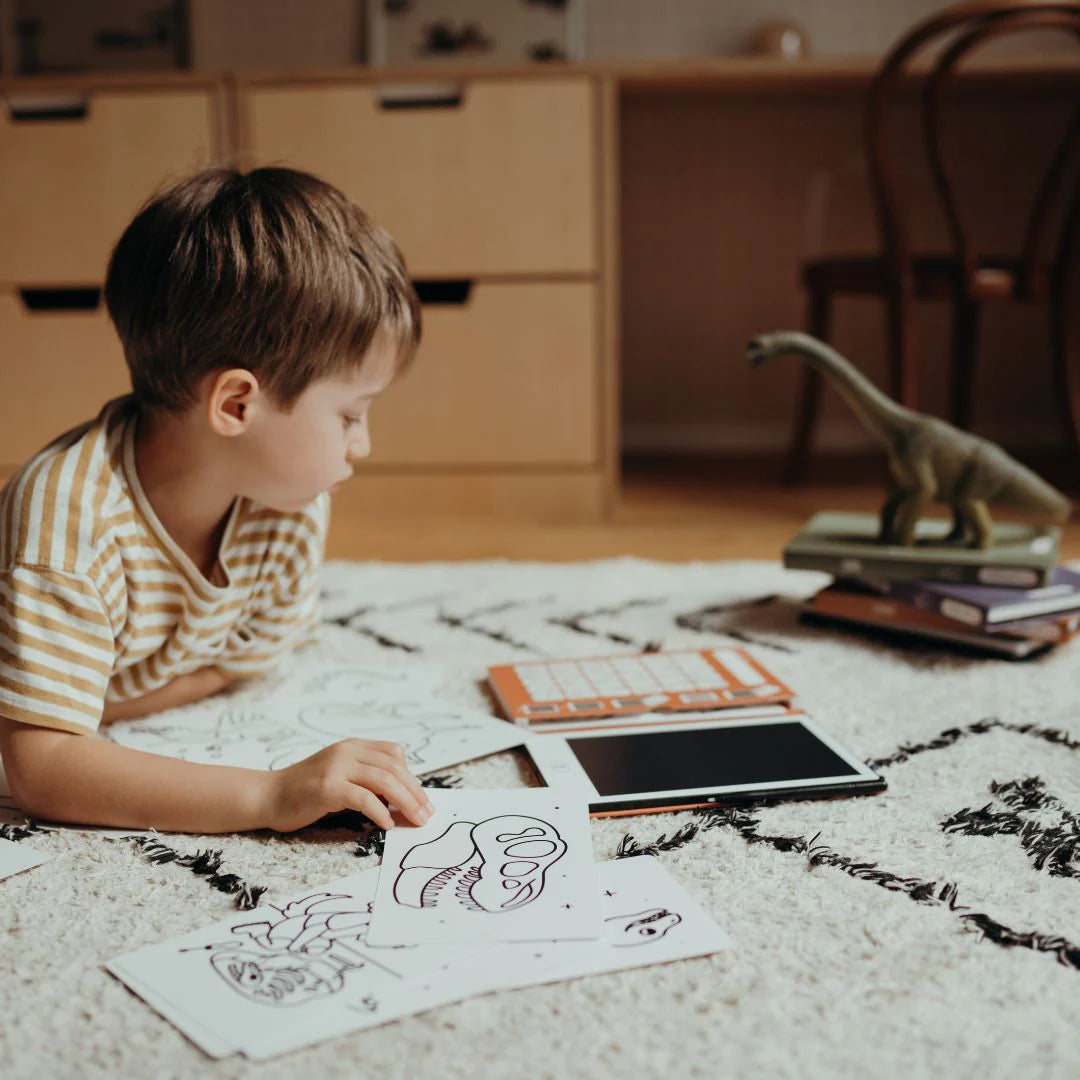 KIDYWOLF LCD TRACING BOOK - DINOSAURS