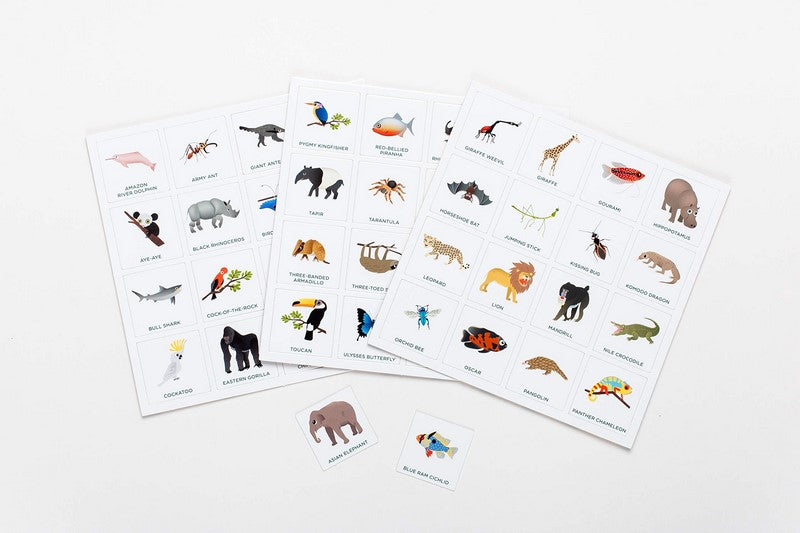 GAME - JUNGLE BINGO