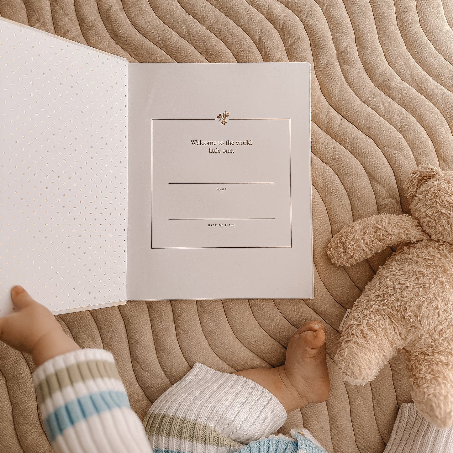 FOX & FALLOW BABY BOOK - CEDARWOOD