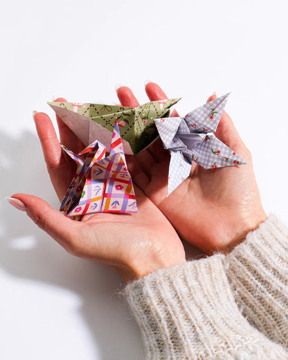 JOURNEY OF SOMETHING  - ORIGAMI KIT