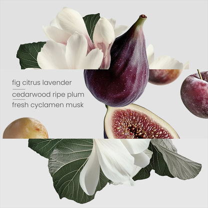 KIRRI - OIL 15ML - FIG TREE
