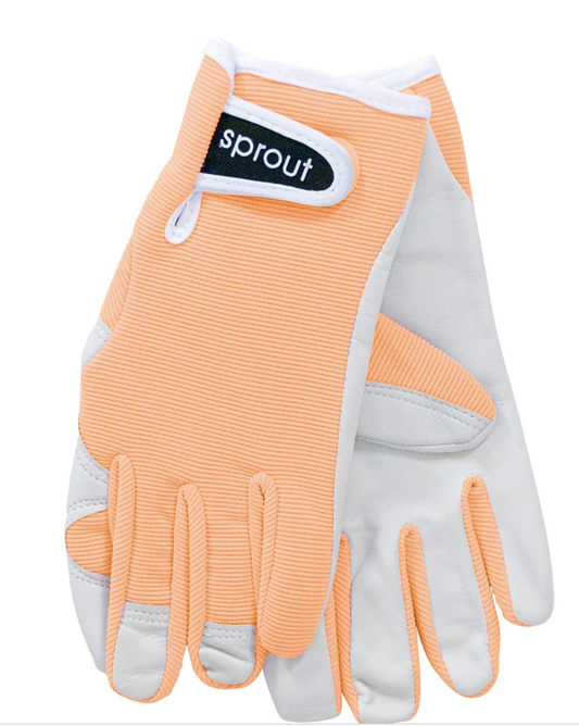 ANNABEL TRENDS - SPROUT GOATSKIN GLOVES - APRICOT WASH