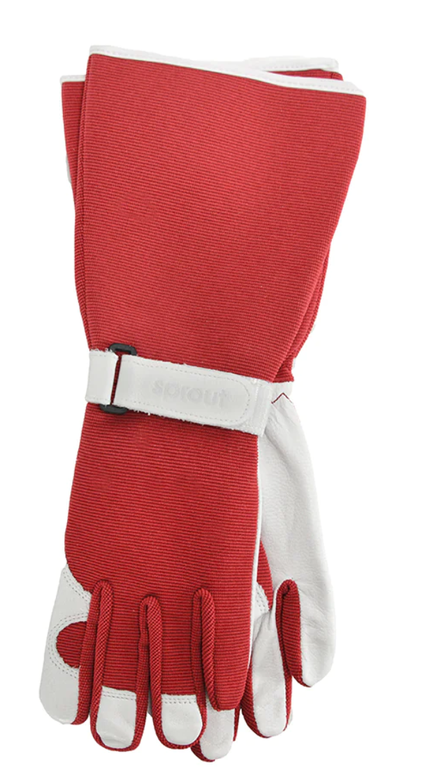 ANNABEL TRENDS - SPROUT GOATSKIN GLOVES - RED