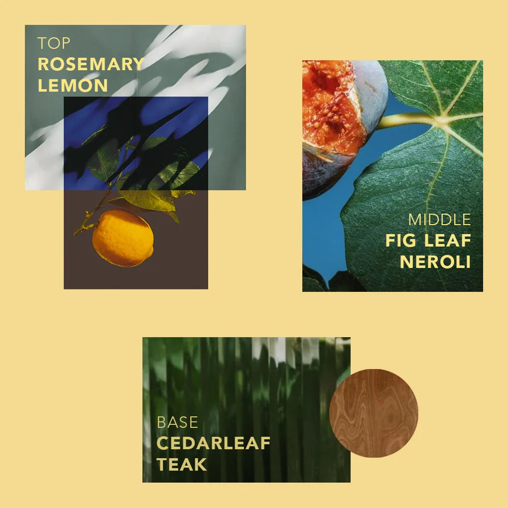 FAZEEK - WAVE CANDLE - TEAK + NEROLI