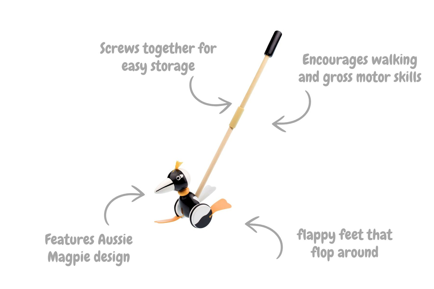 KOALA DREAM PUSH ALONG MAGPIE