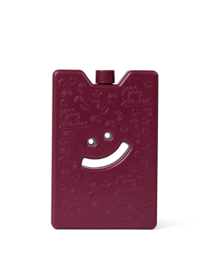 THE SOMEWHERE CO - LARGE ICE BRICK - BURGUNDY