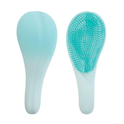 ISALBI - TWO TONE DETANGLER BRUSH - AQUA