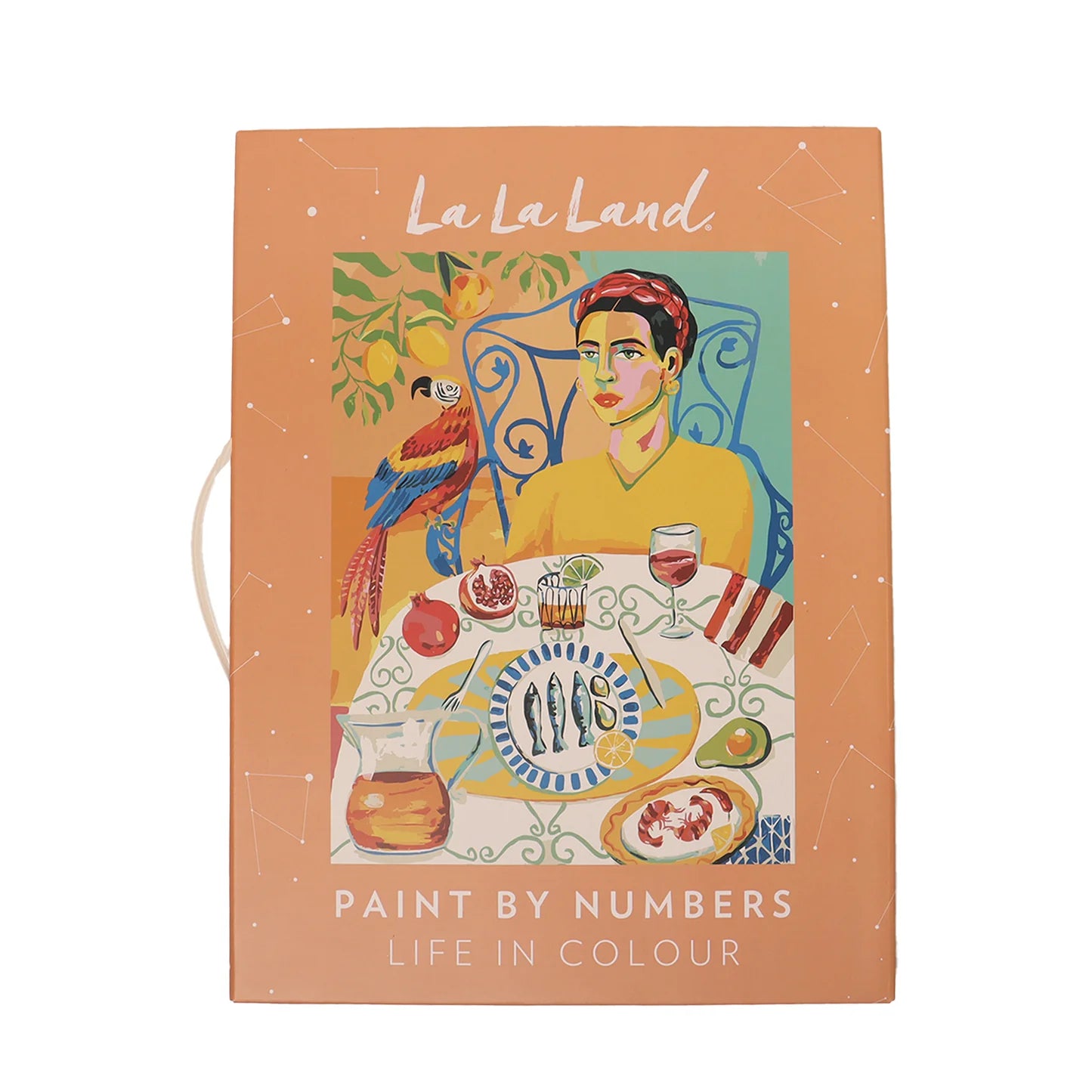 LA LA LAND - PAINT BY NUMBER - LIFE IN COLOUR