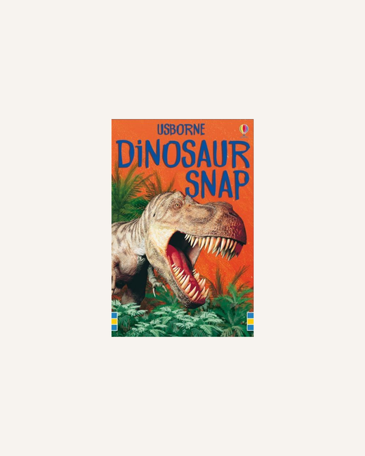 USBORNE SNAP CARDS - DINOSAUR