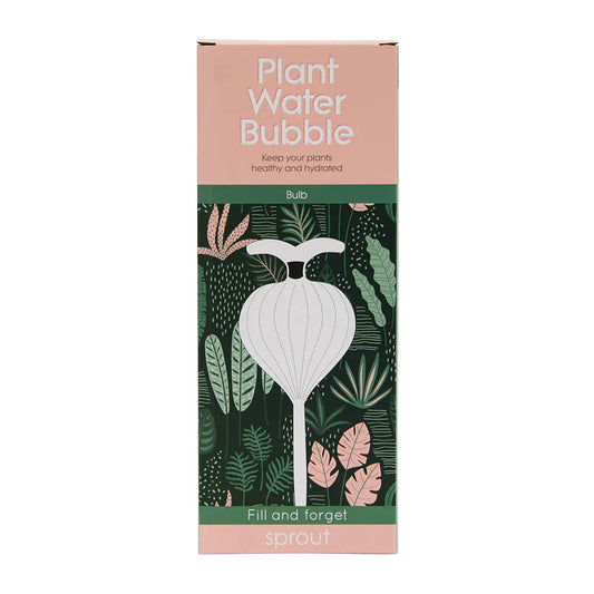 ANNABEL TRENDS - PLANT WATER BUBBLE - BULB