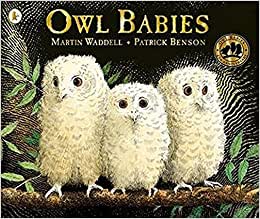 CHILDREN'S BOOK - OWL BABIES