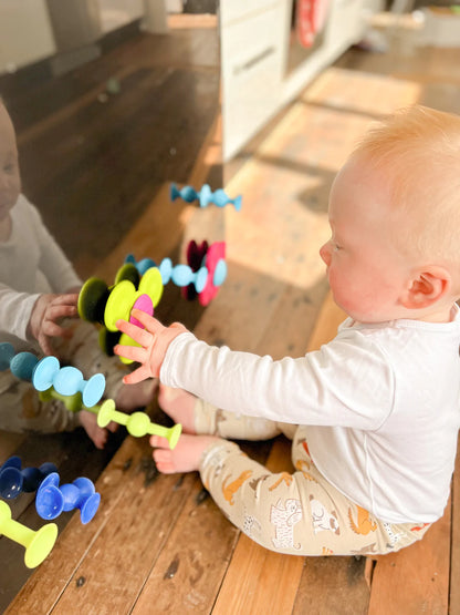 FAT BRAIN TOYS - SQUIGZ FUN LITTLE SUCKERS!