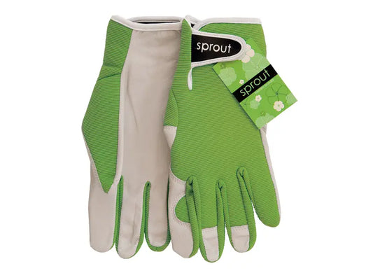 ANNABEL TRENDS - SPROUT GOATSKIN GLOVES - OLIVE
